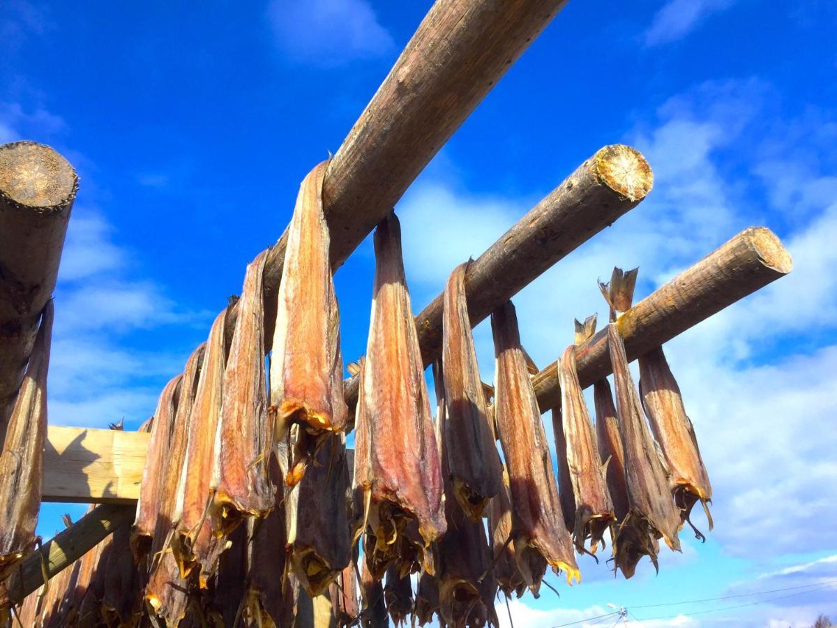 Fishermans Dock Lofoten بولستاد المظهر الخارجي الصورة